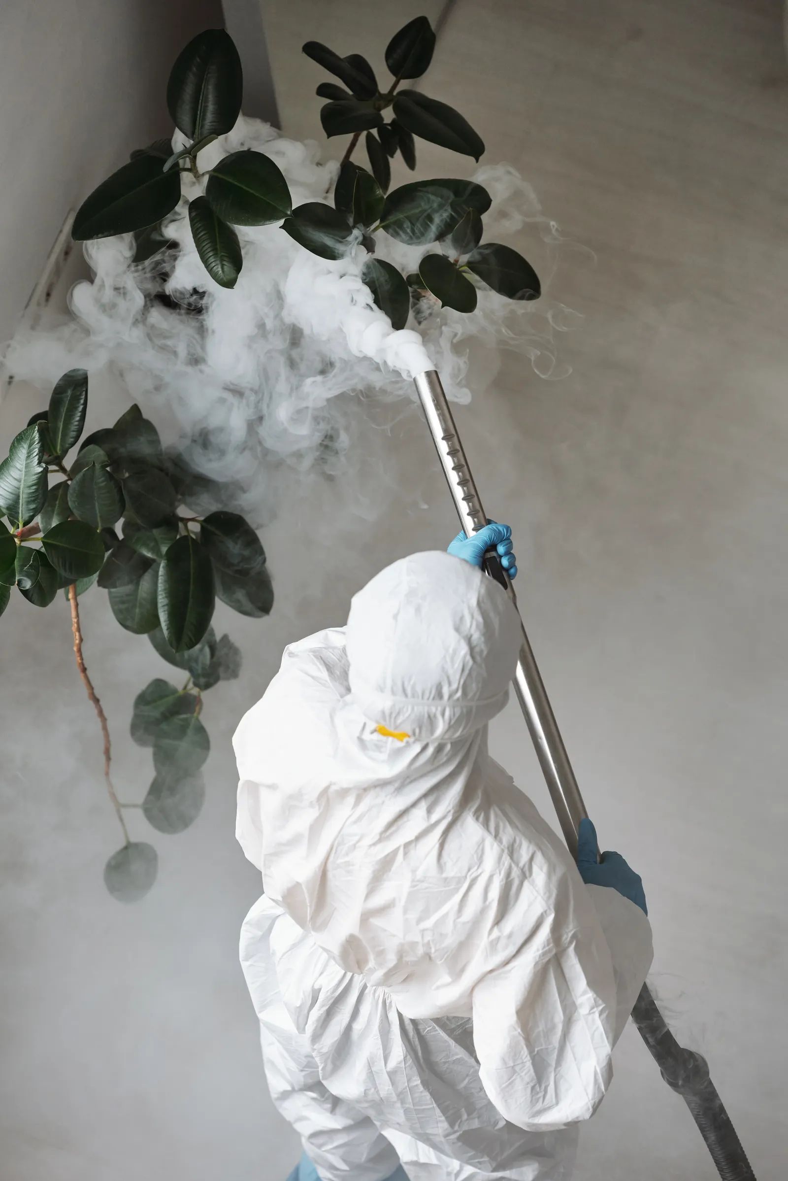 A technician in protective gear treating plants near a building